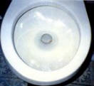 Clean toilet after Magnetizers